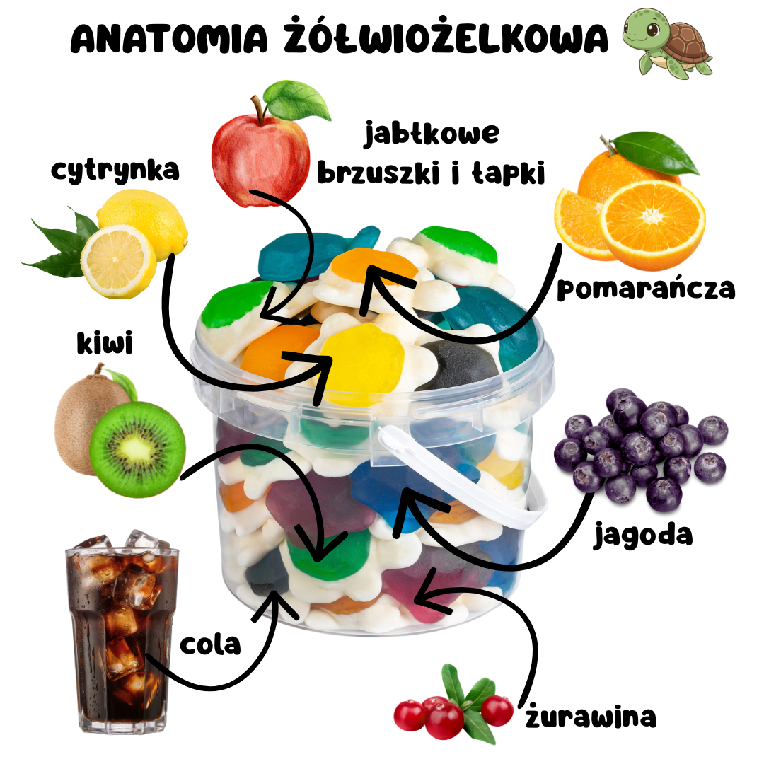 przedstawione graficznie smaki żelków żółwików